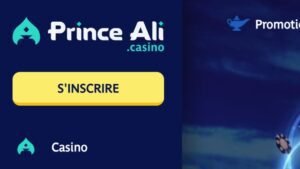 Découvrez les Offres Exclusives du Casino en Ligne Prince Ali en France